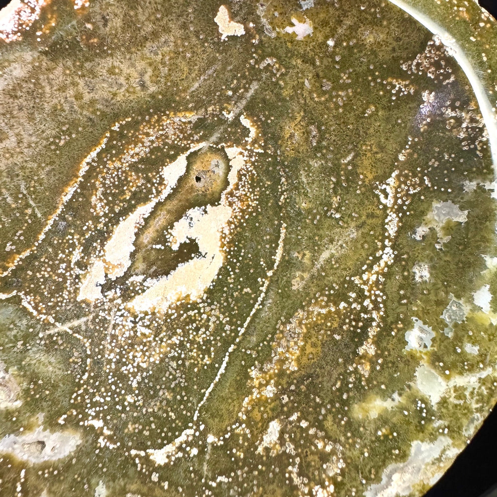 Ocean Jasper Bowl