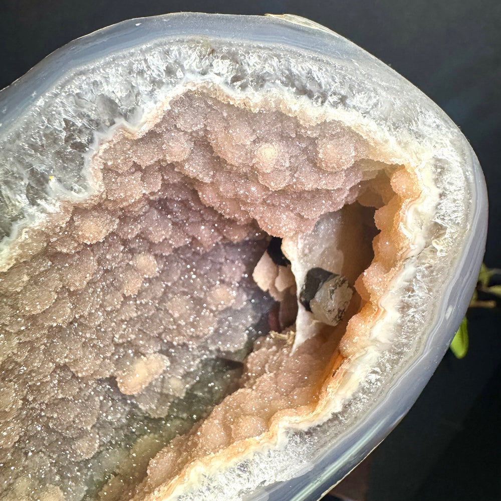 Druzy Agate on Wooden Base