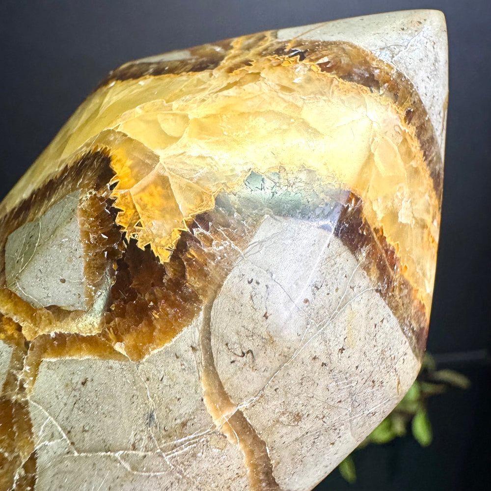 Septarian Tower