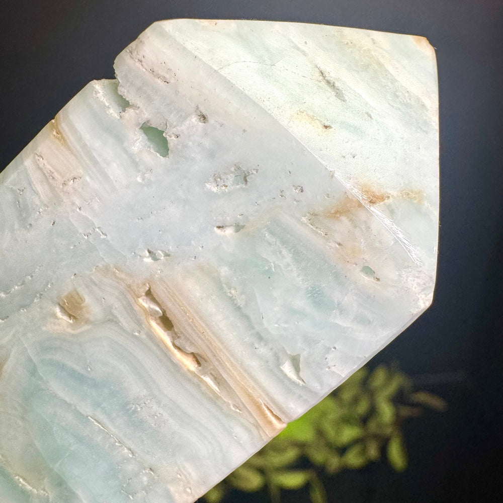 Caribbean Calcite Tower