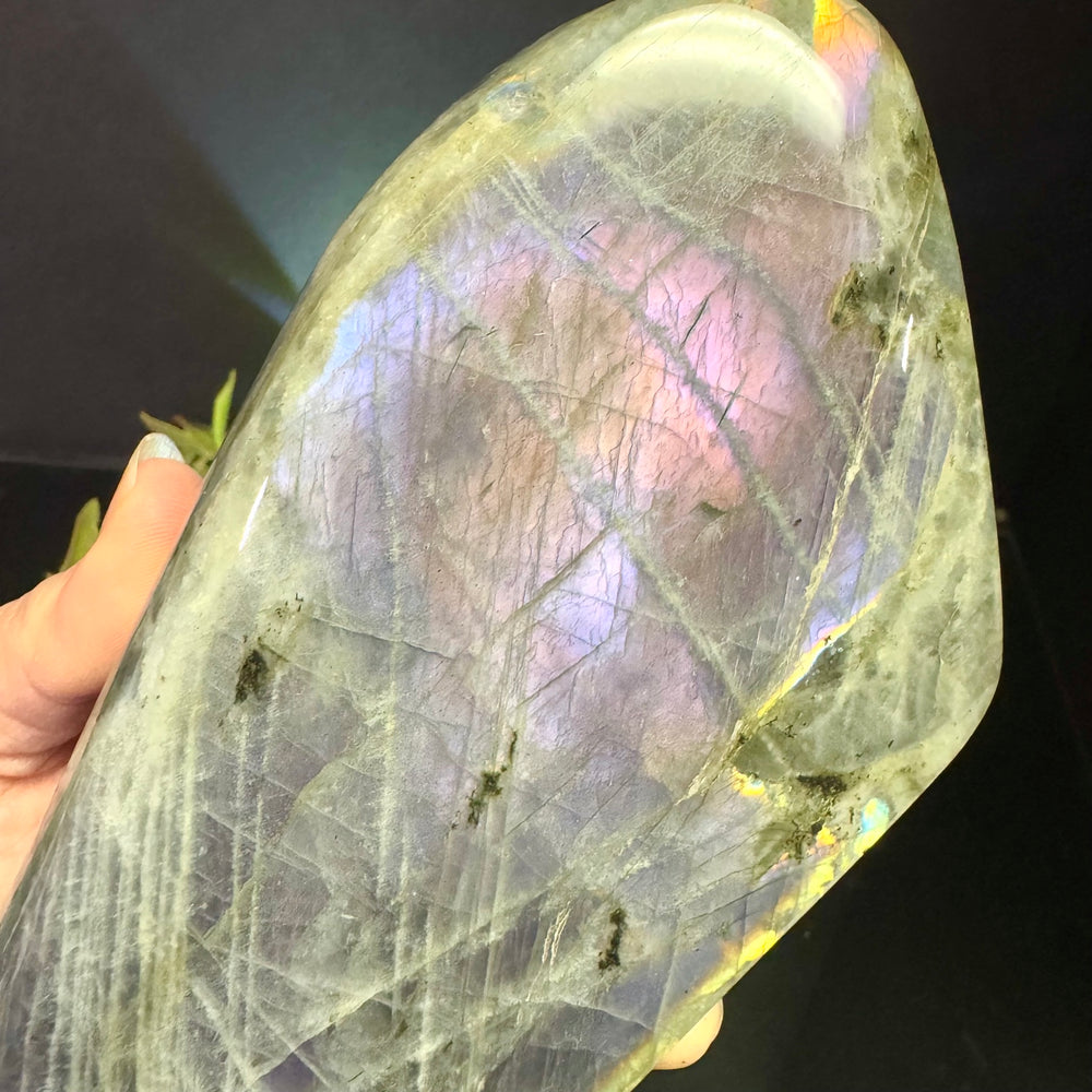 Purple Flash Labradorite Free Form