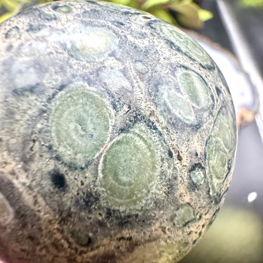 Kambaba Jasper Palm Stone
