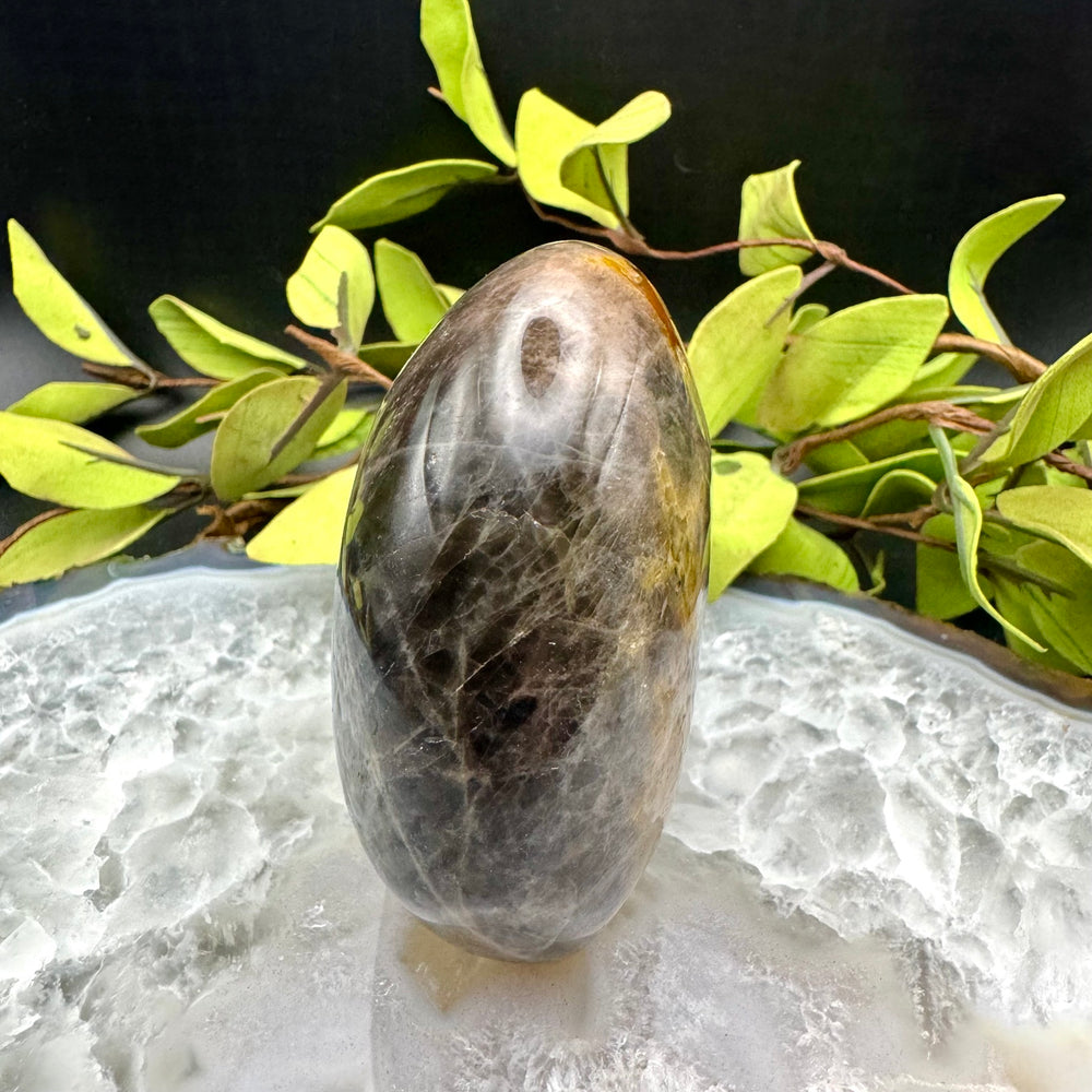 Black Moonstone Free Form