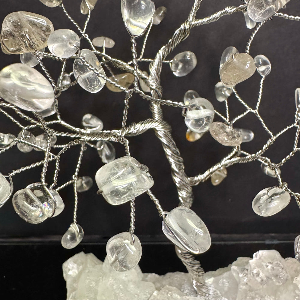 Clear Quartz on Apophyllite Mojo Tree