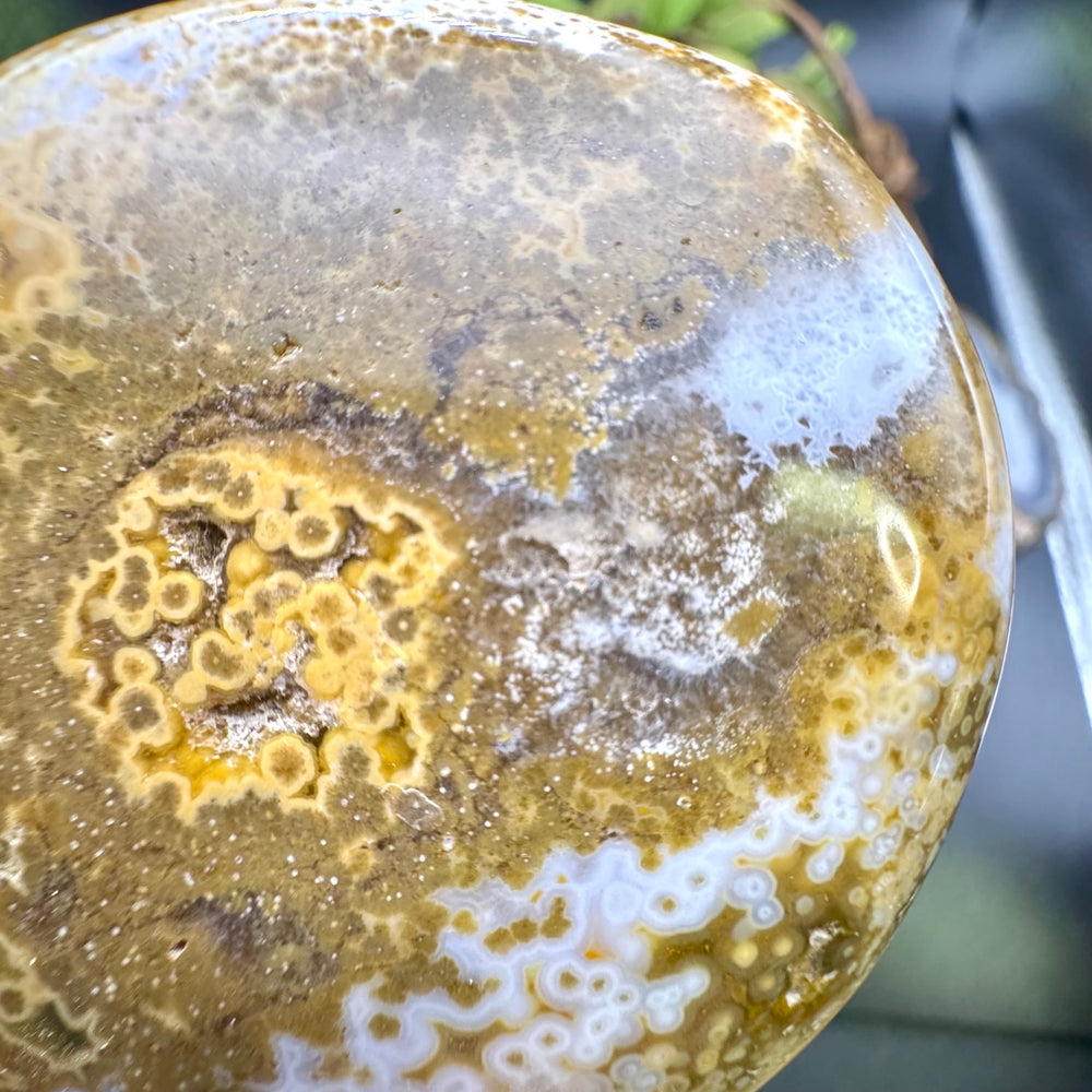 Ocean Jasper Palm Stone