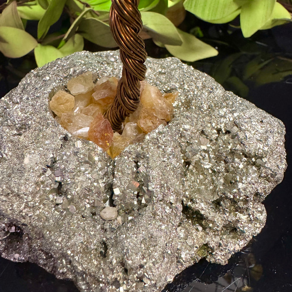 Citrine on Pyrite Mojo Tree