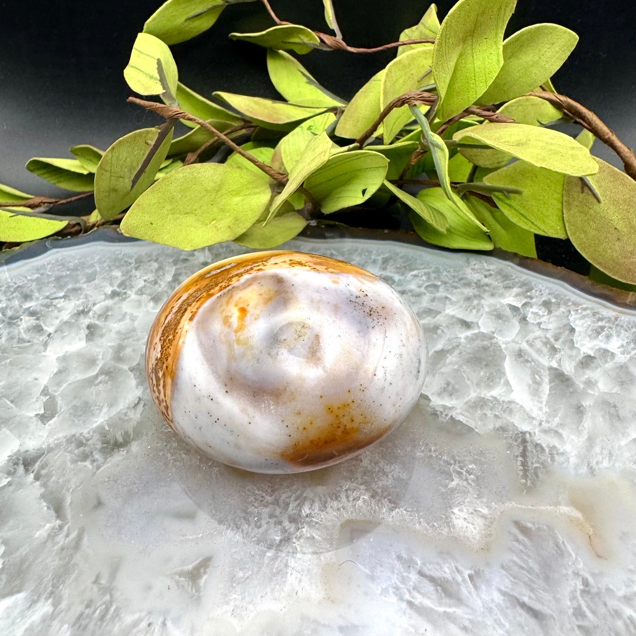 Ocean Jasper Palm Stone