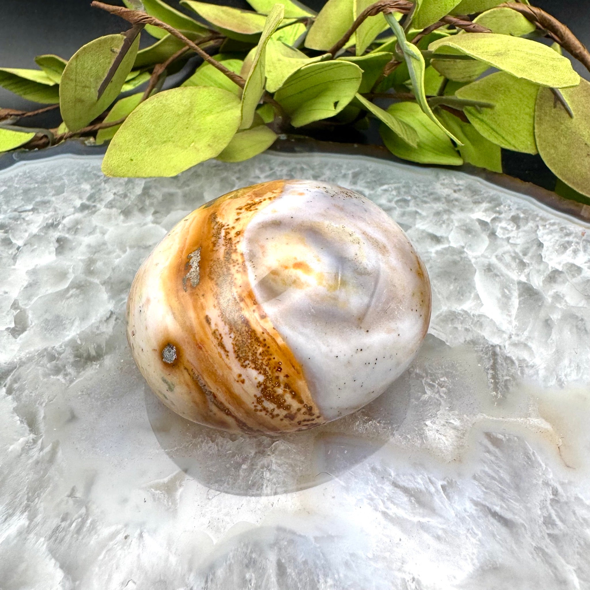 Ocean Jasper Palm Stone