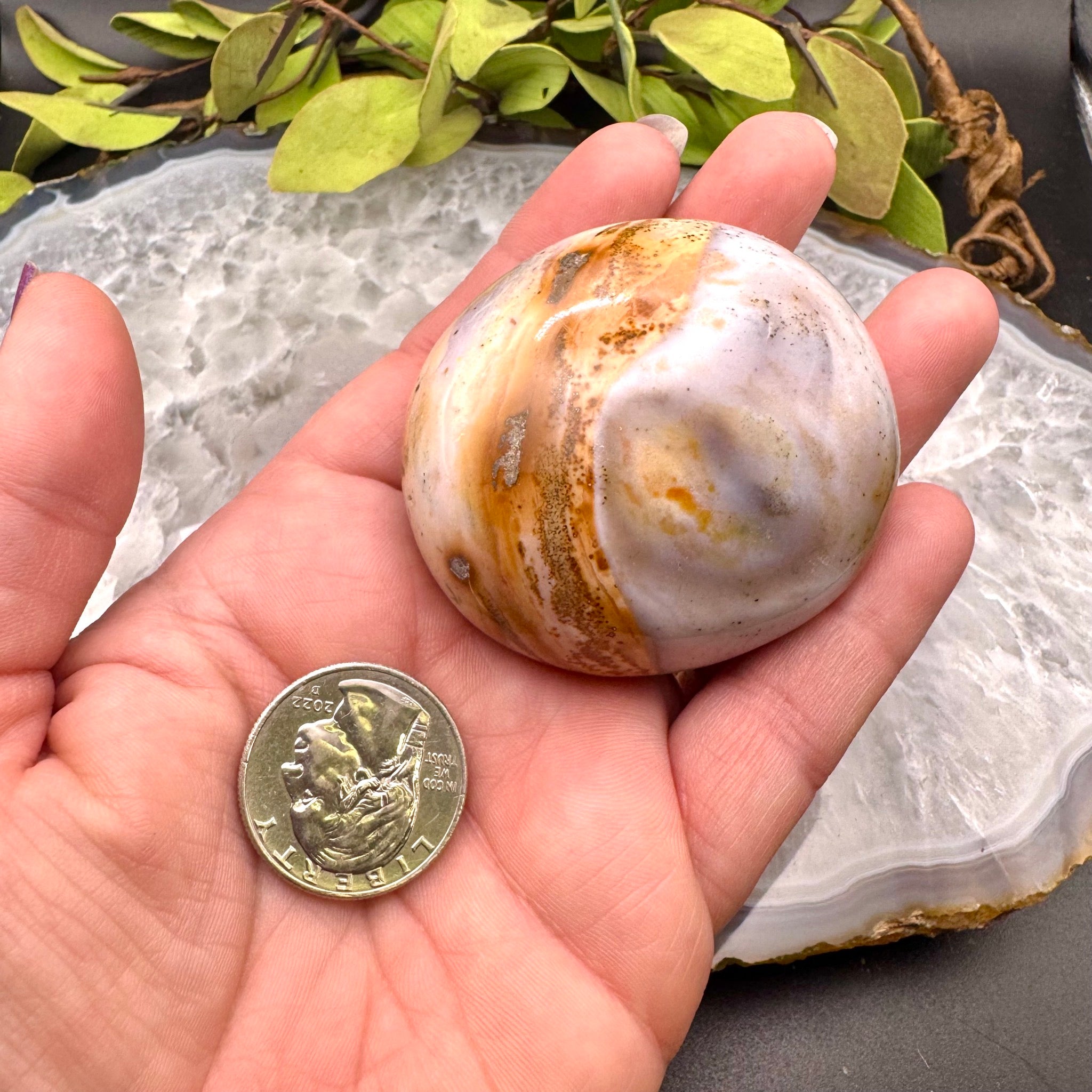 Ocean Jasper Palm Stone