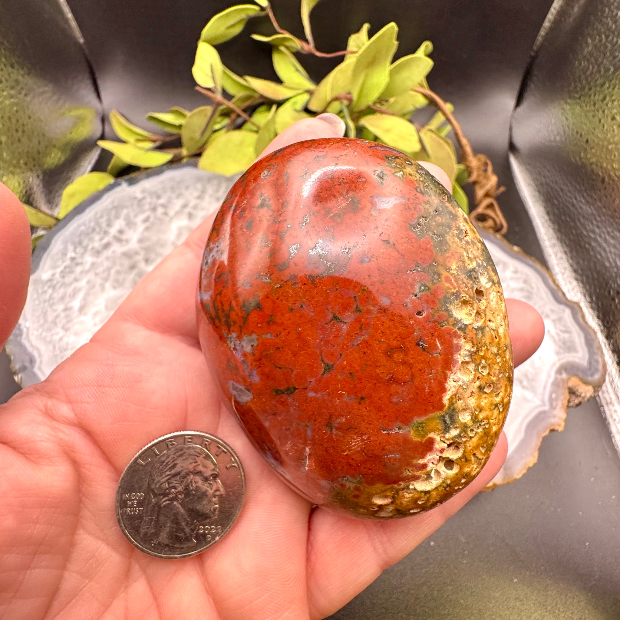 Ocean Jasper Palm Stone