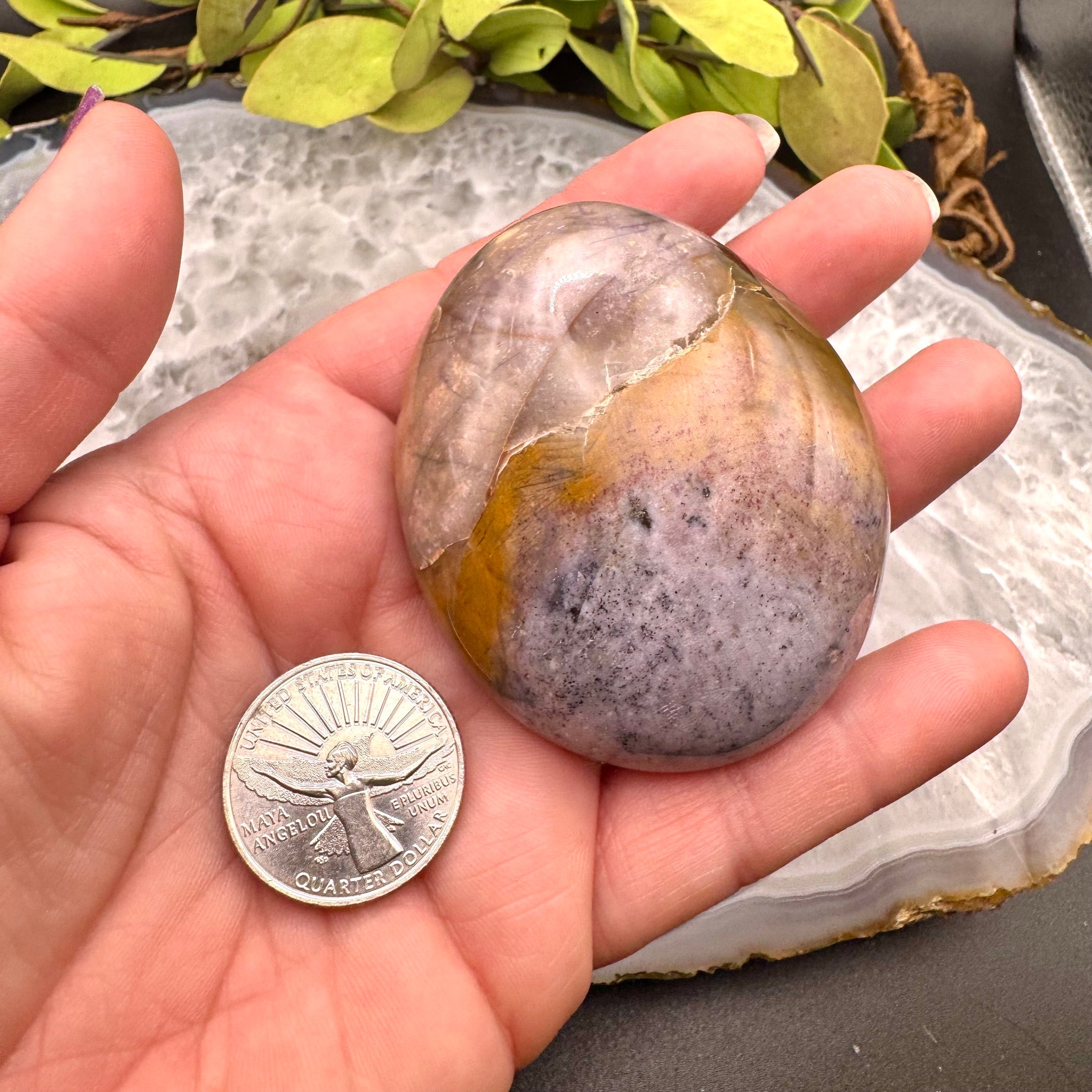 Ocean Jasper Palm Stone