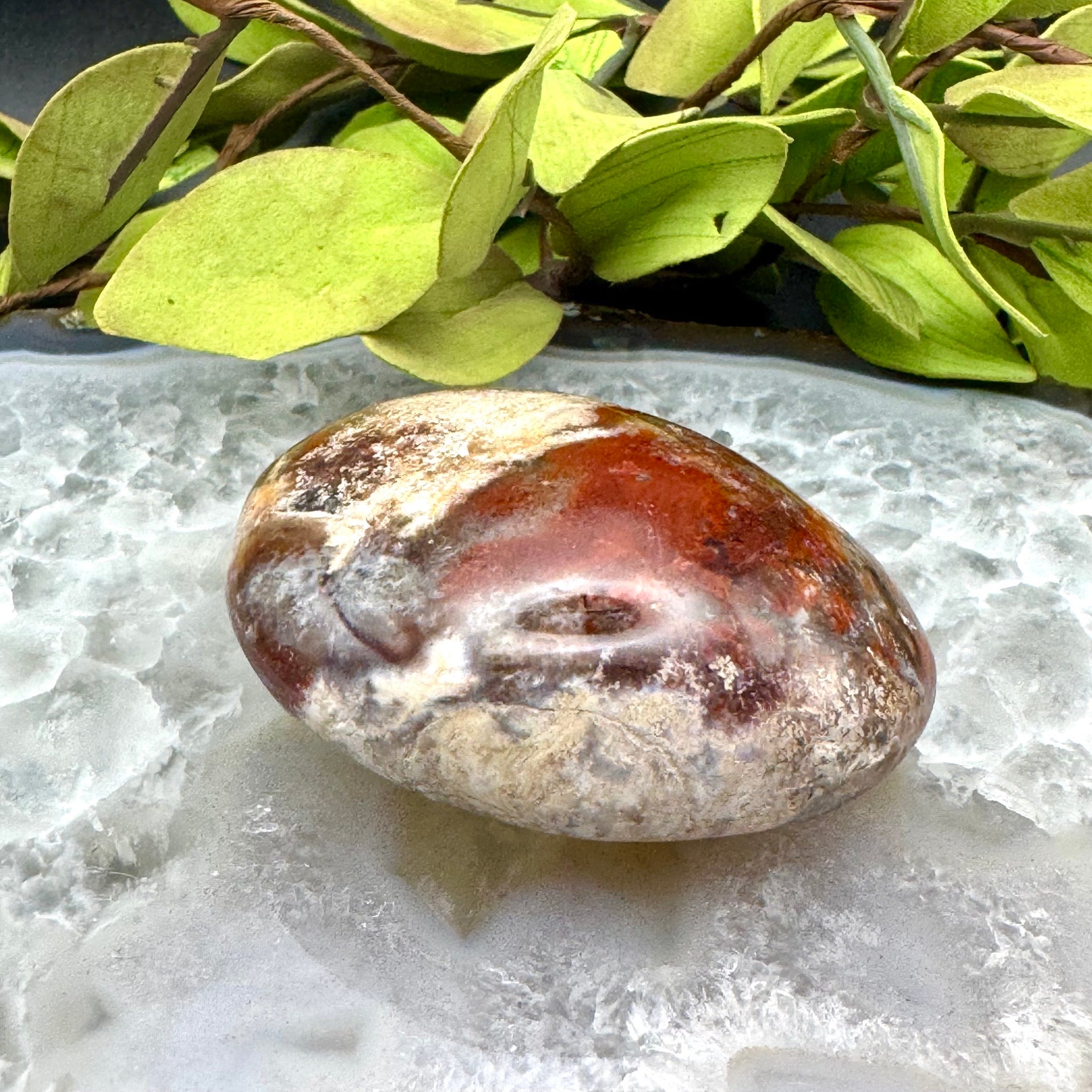 Ocean Jasper Palm Stone