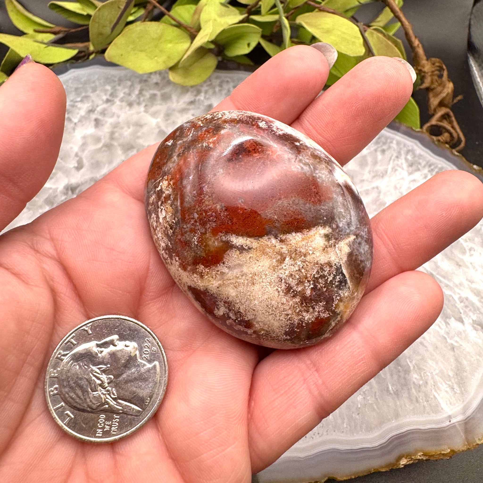 Ocean Jasper Palm Stone