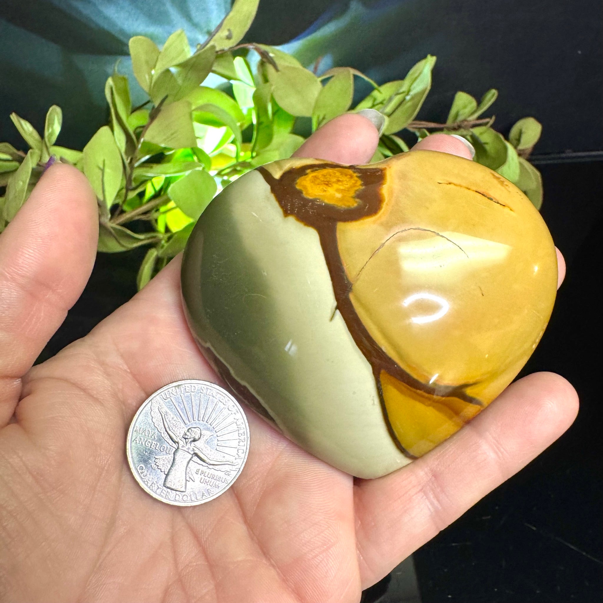 Polychrome Jasper Heart