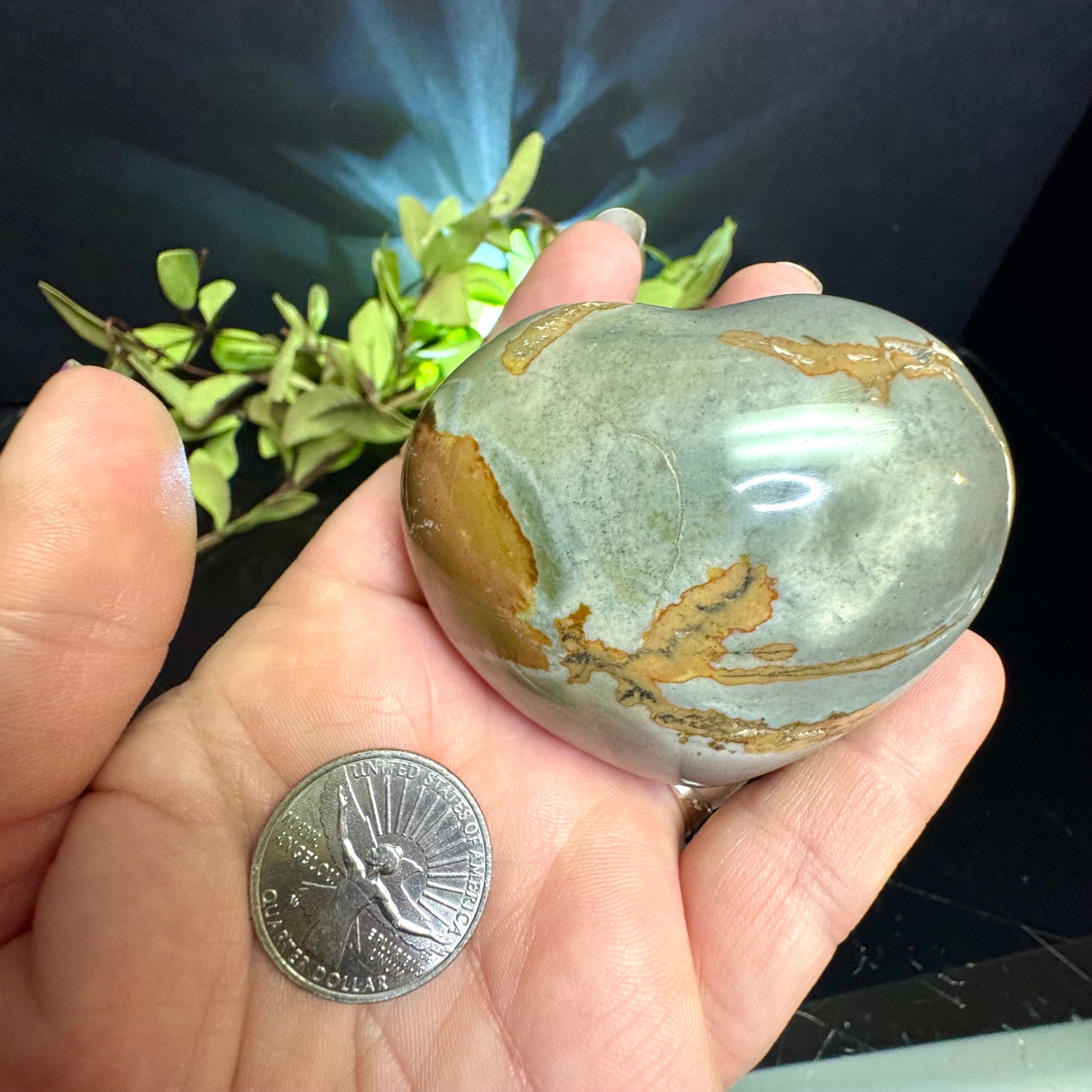 Polychrome Jasper Heart