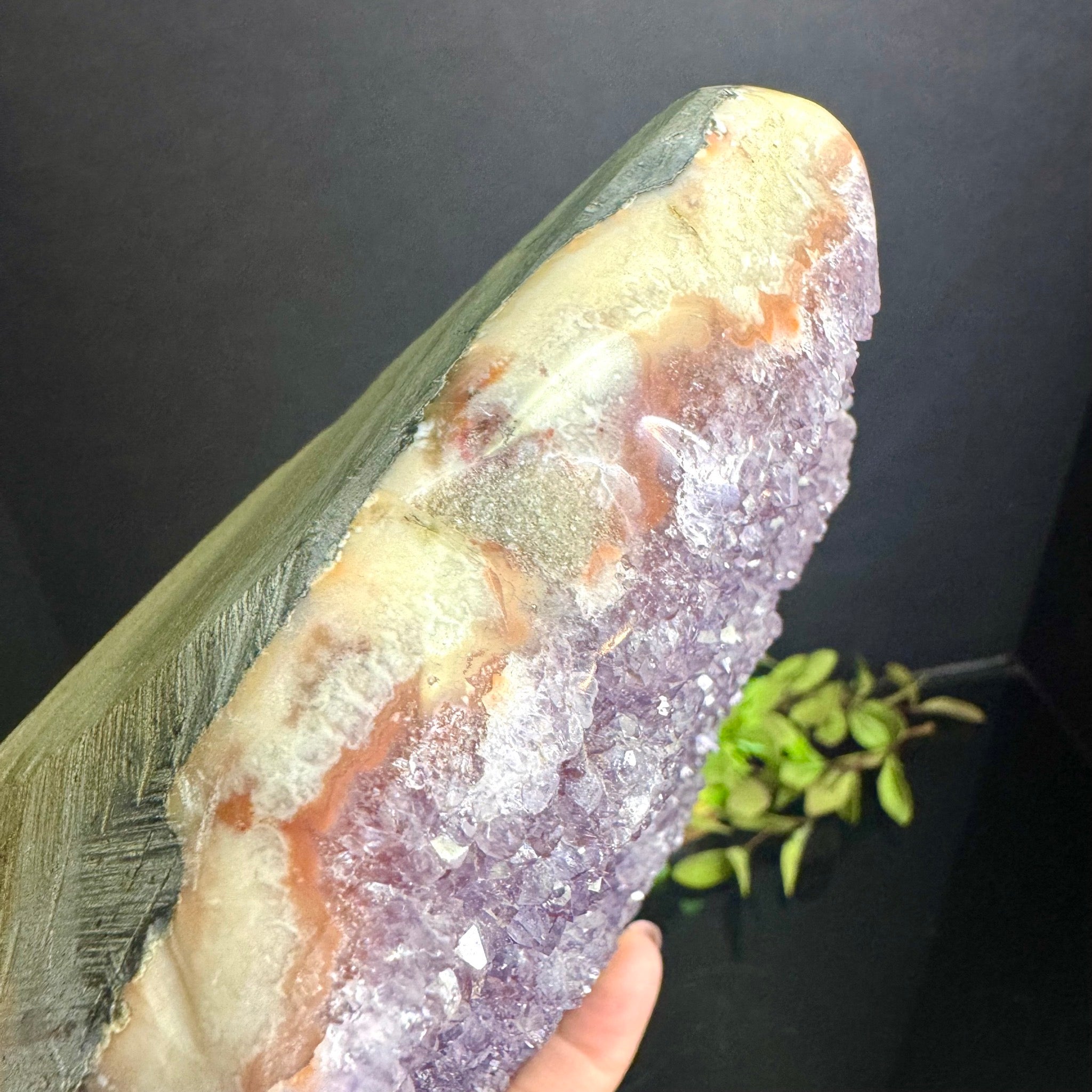 Amethyst Free Form