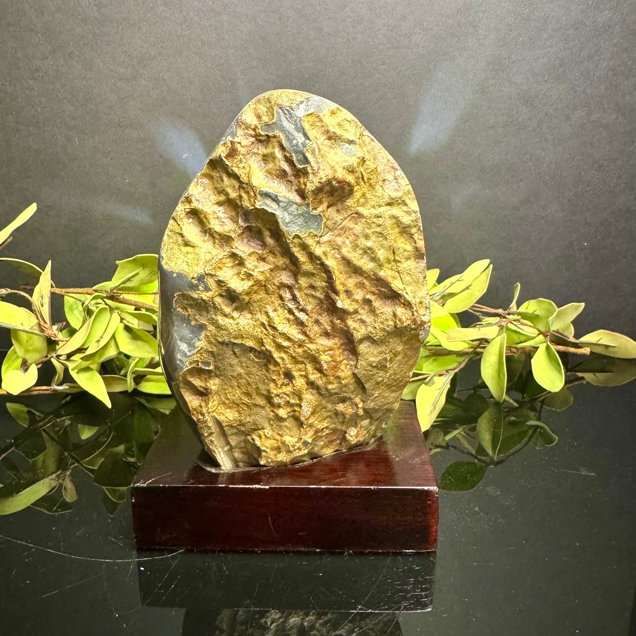 Druzy Agate on Wooden Base