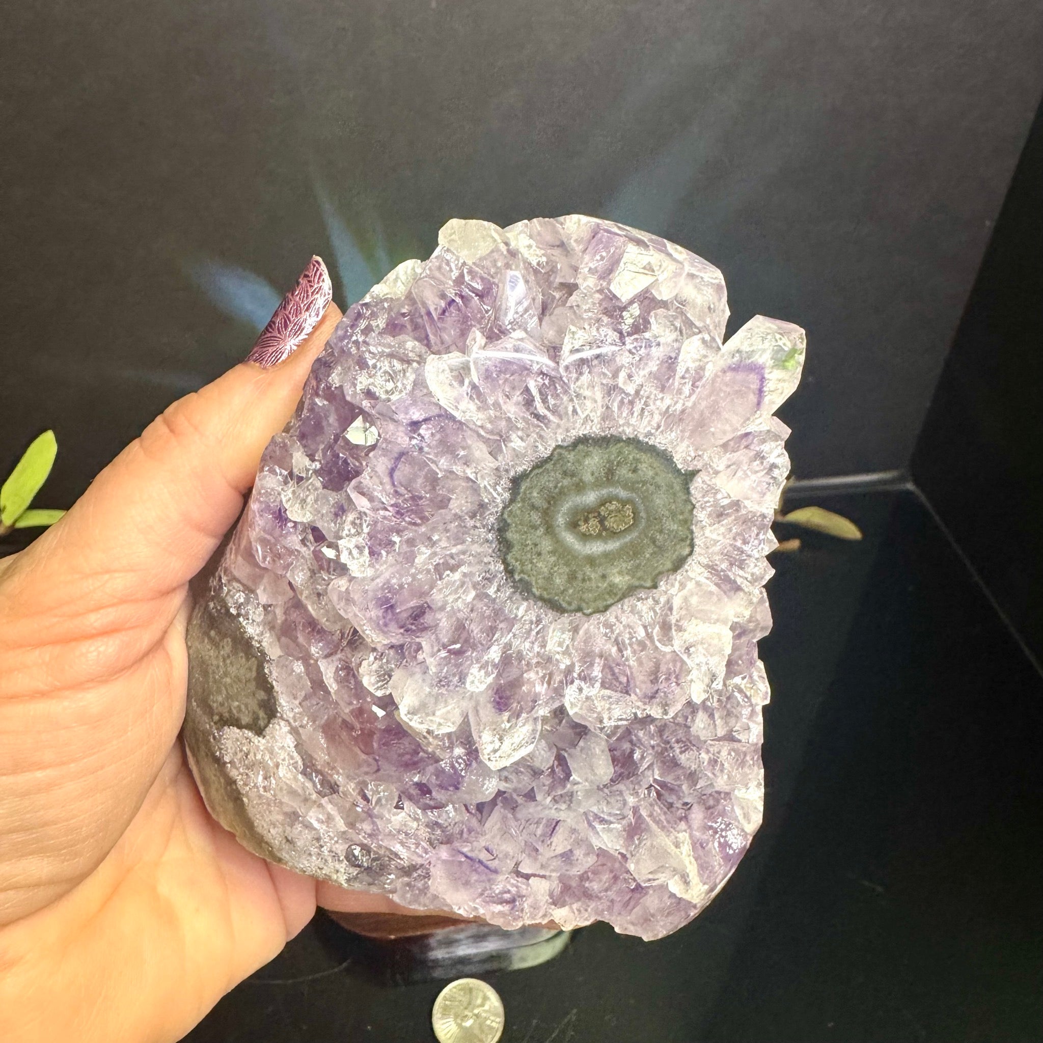 Amethyst Cluster with Stalactite on Wooden Base