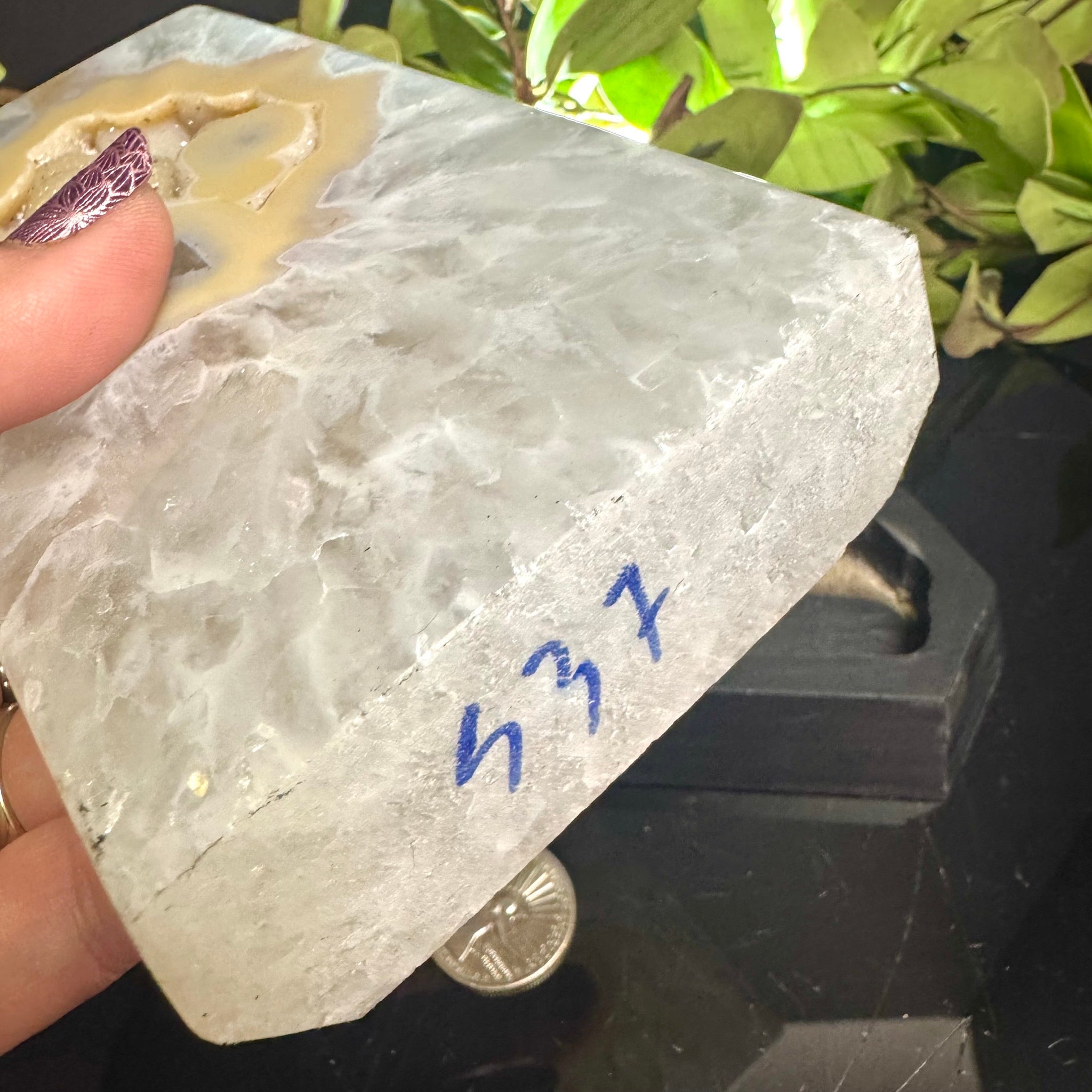 Druzy Agate on Black Wooden Base
