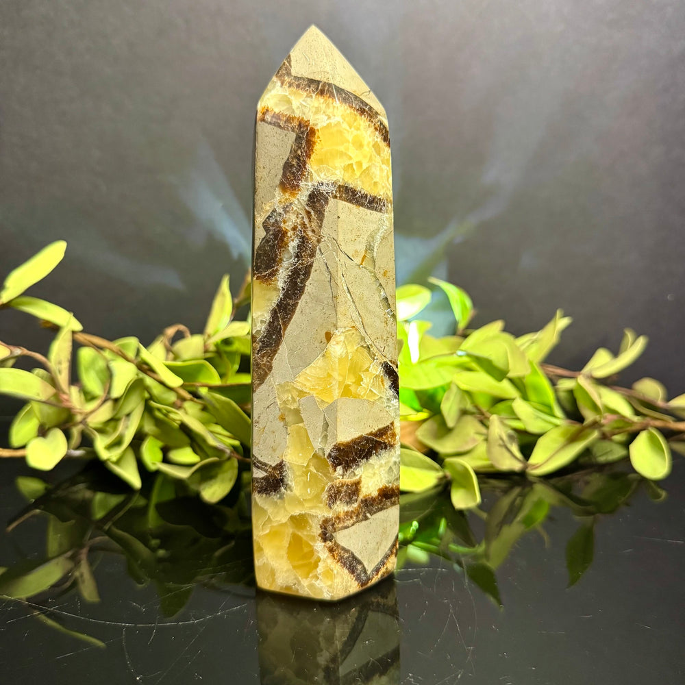 Septarian Tower