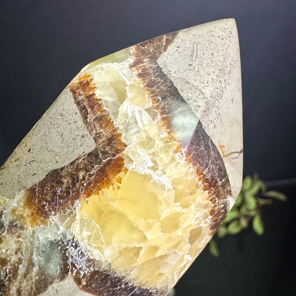 Septarian Tower