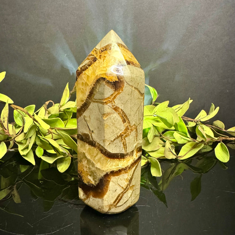 Septarian Tower
