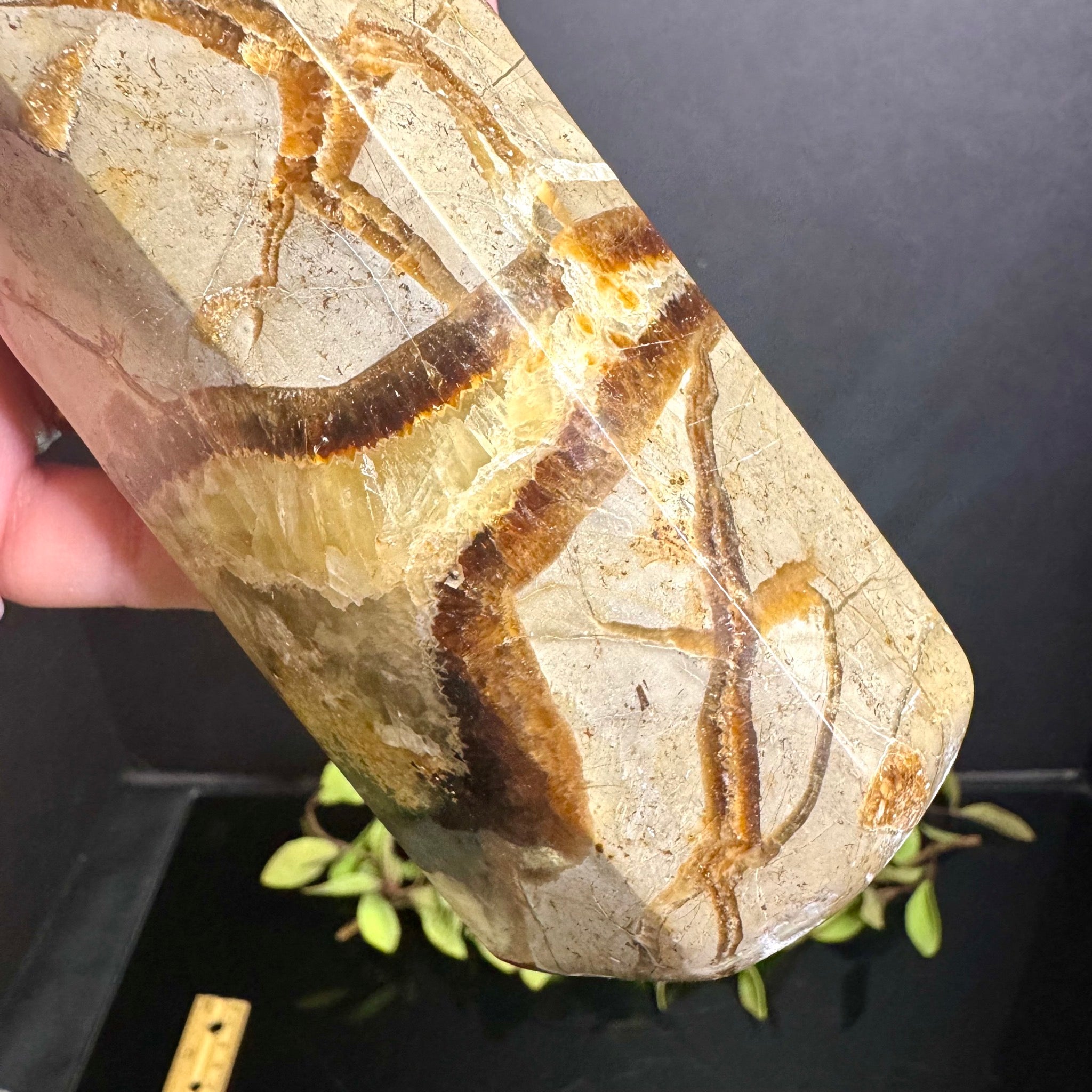 Septarian Tower