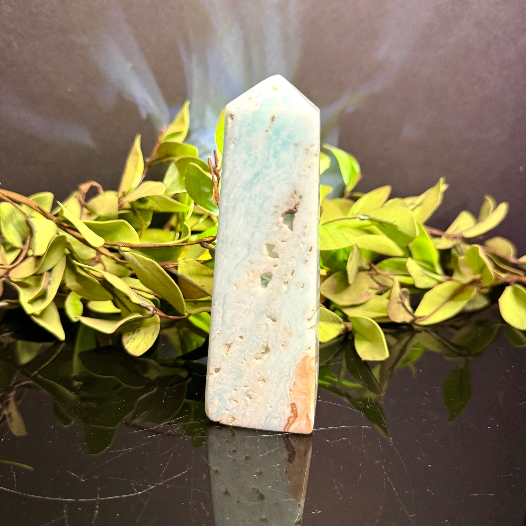 Caribbean Calcite Tower