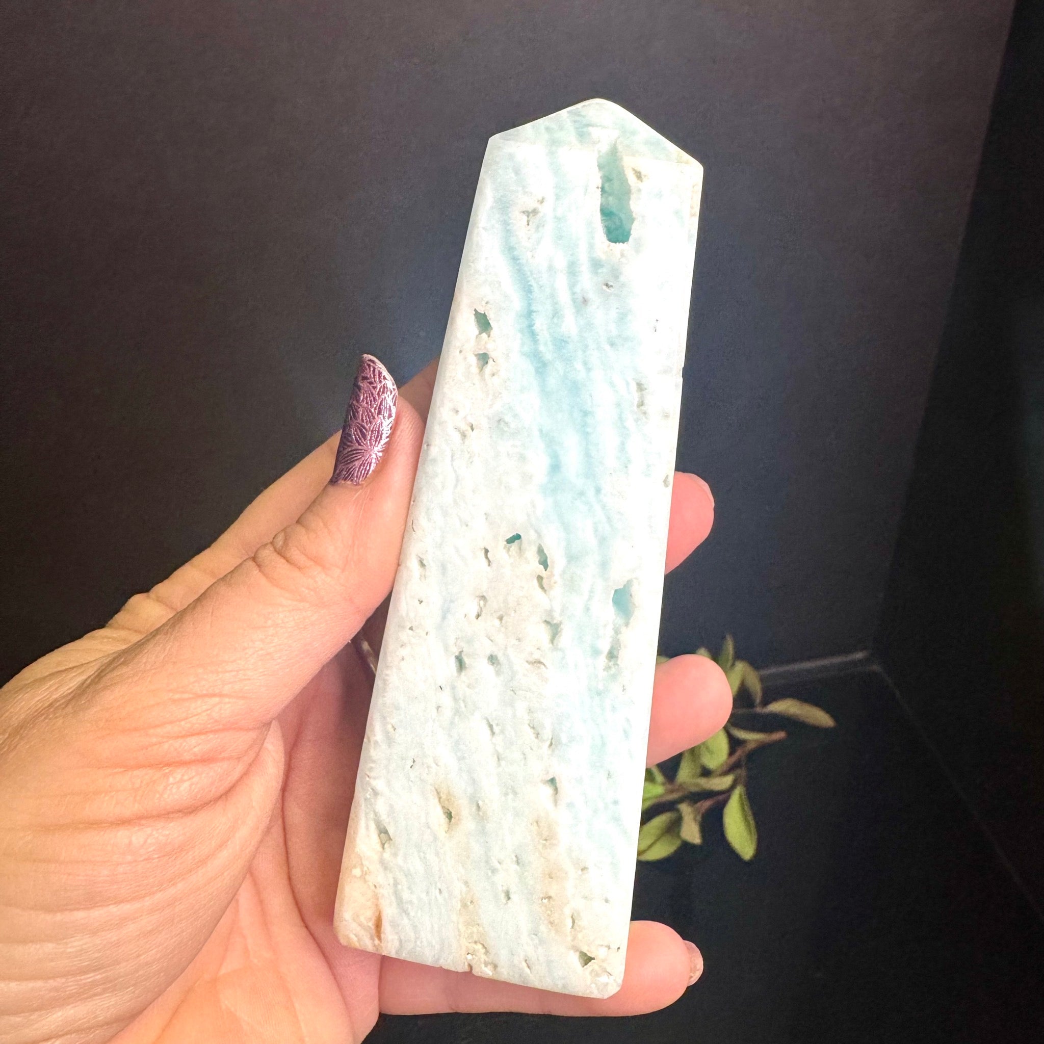 Caribbean Calcite Tower