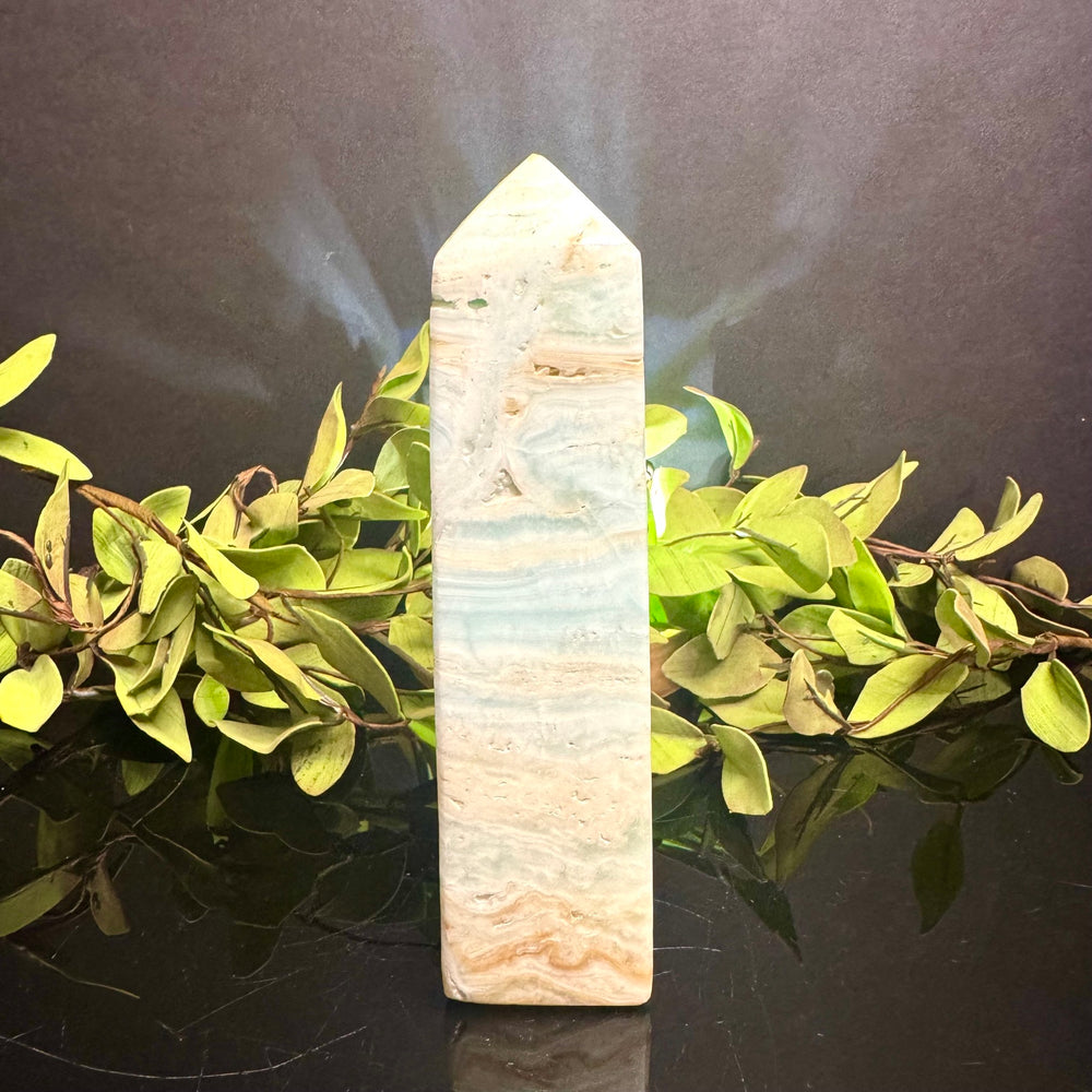 Caribbean Calcite Tower
