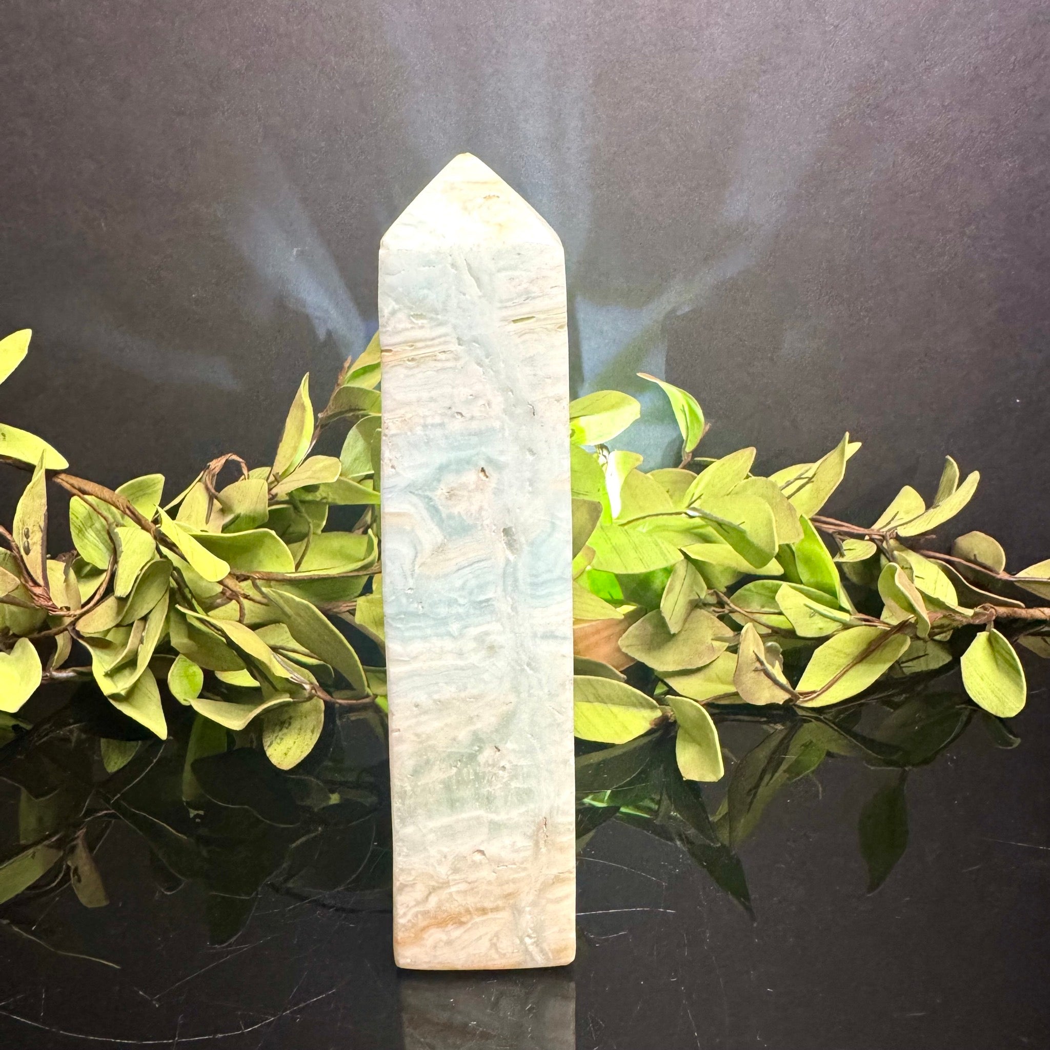 Caribbean Calcite Tower