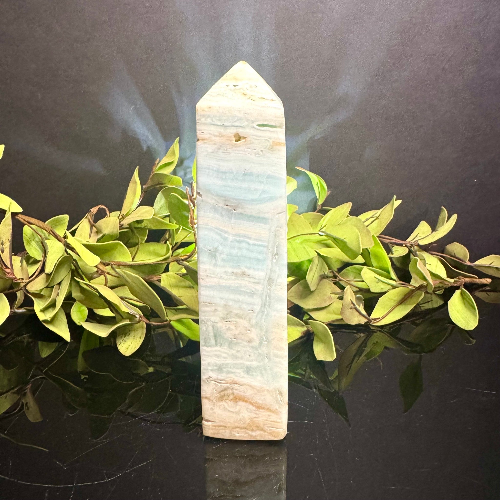 Caribbean Calcite Tower