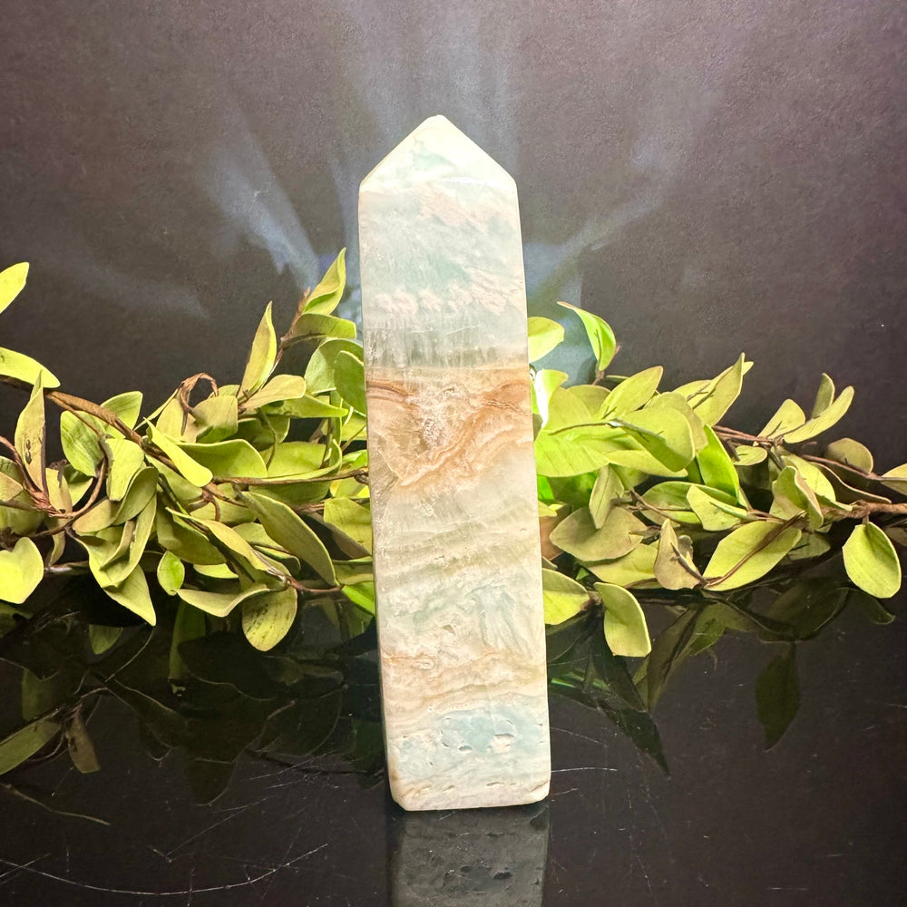 Caribbean Calcite Tower