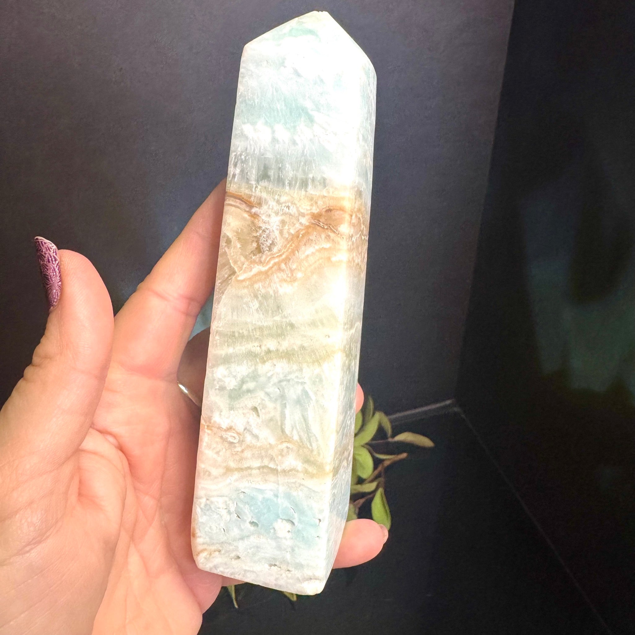 Caribbean Calcite Tower