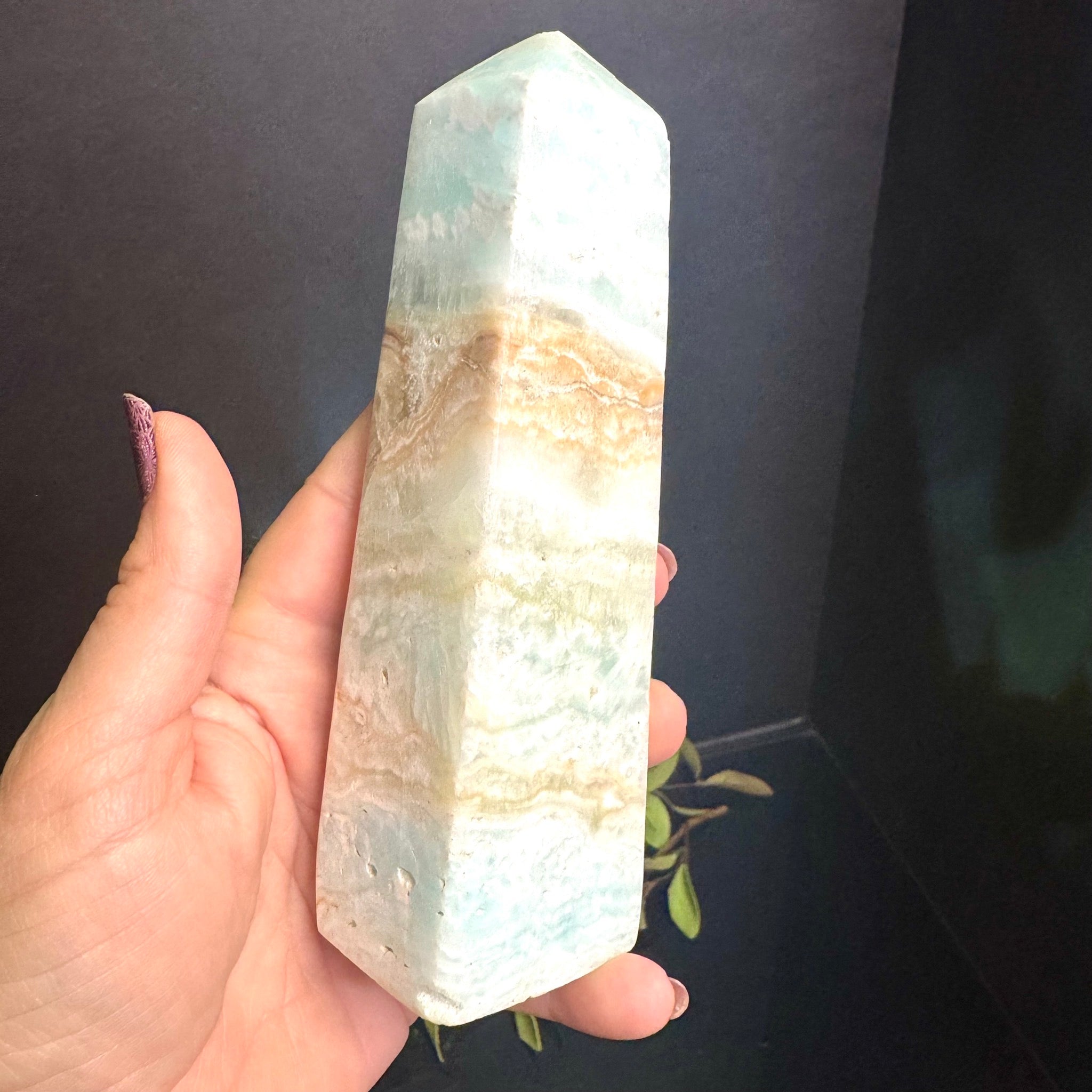 Caribbean Calcite Tower