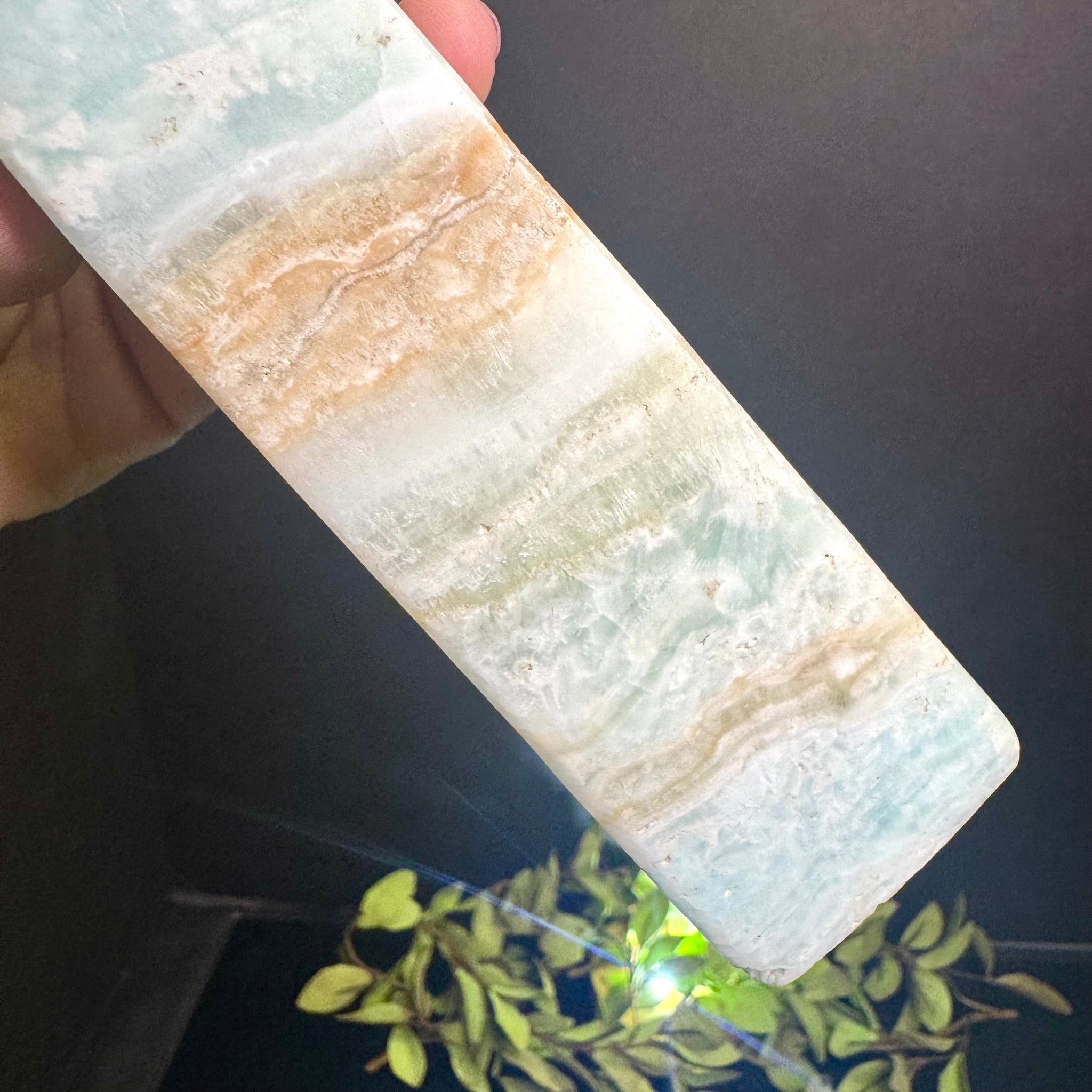 Caribbean Calcite Tower