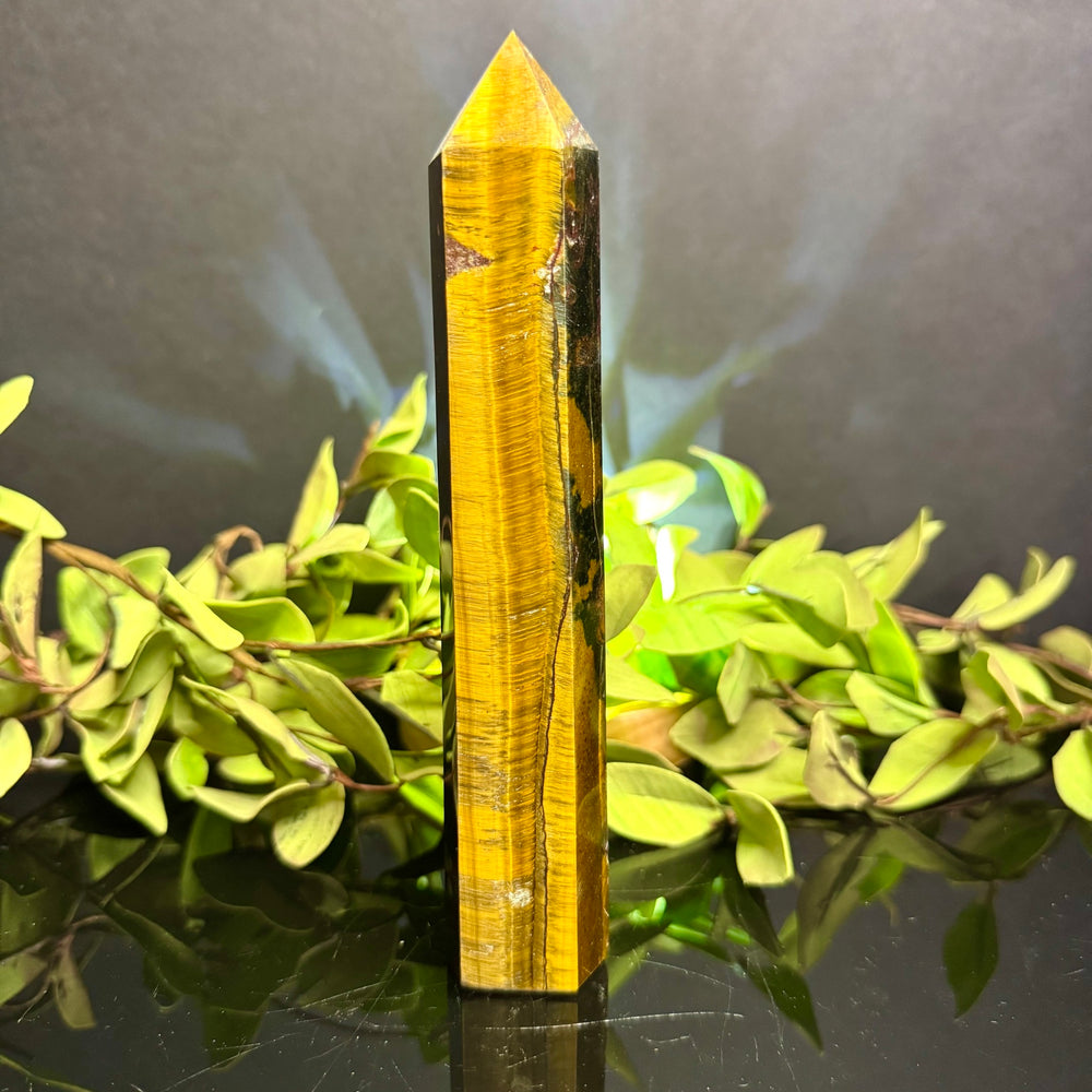 Tigers Eye Tower