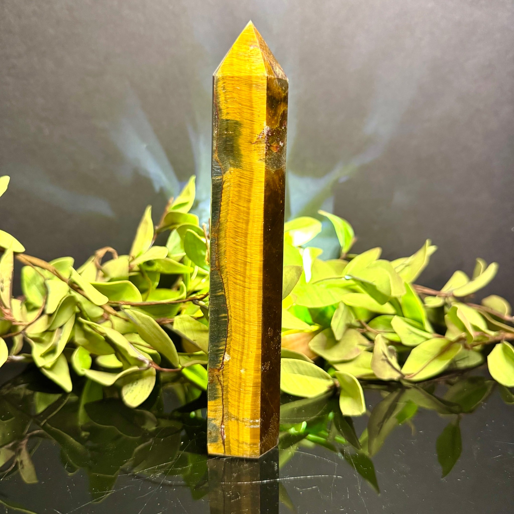 Tigers Eye Tower