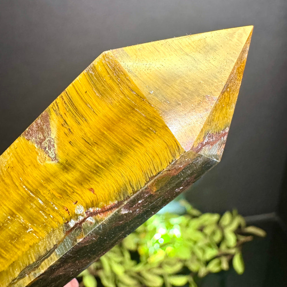 Tigers Eye Tower