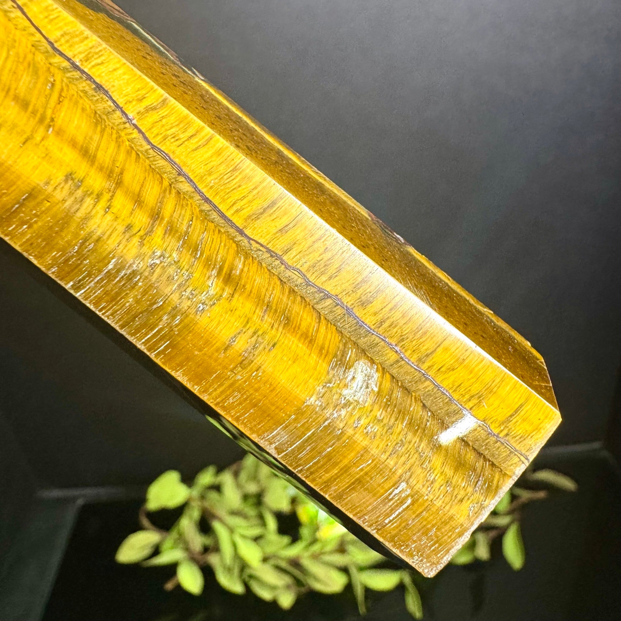 Tigers Eye Tower