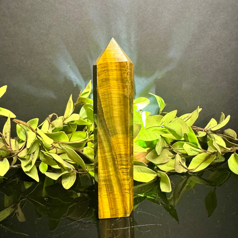 Tigers Eye Tower
