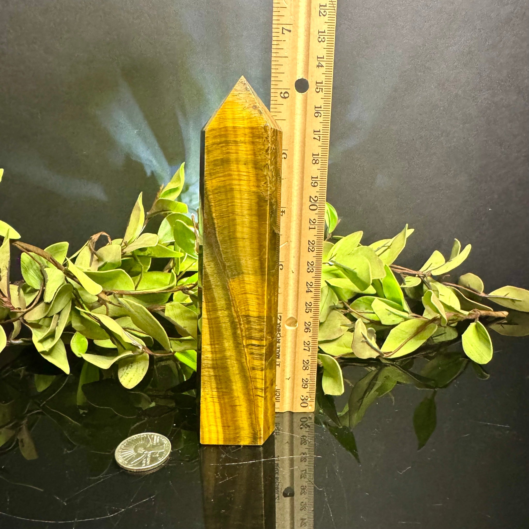 Tigers Eye Tower