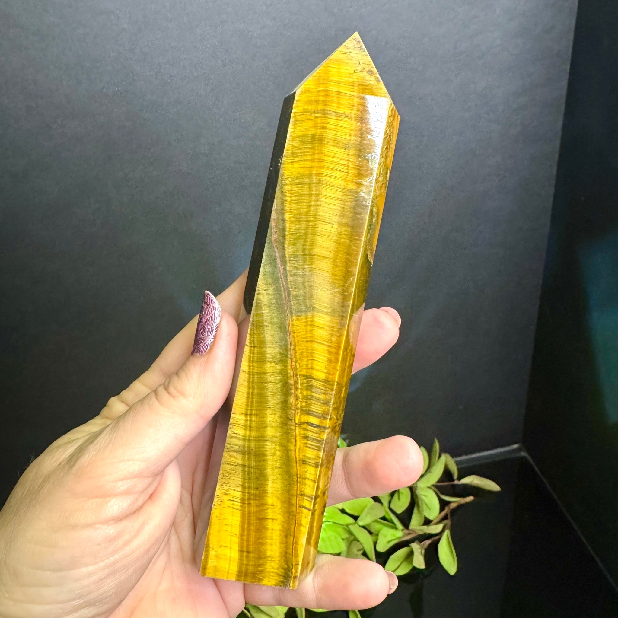 Tigers Eye Tower