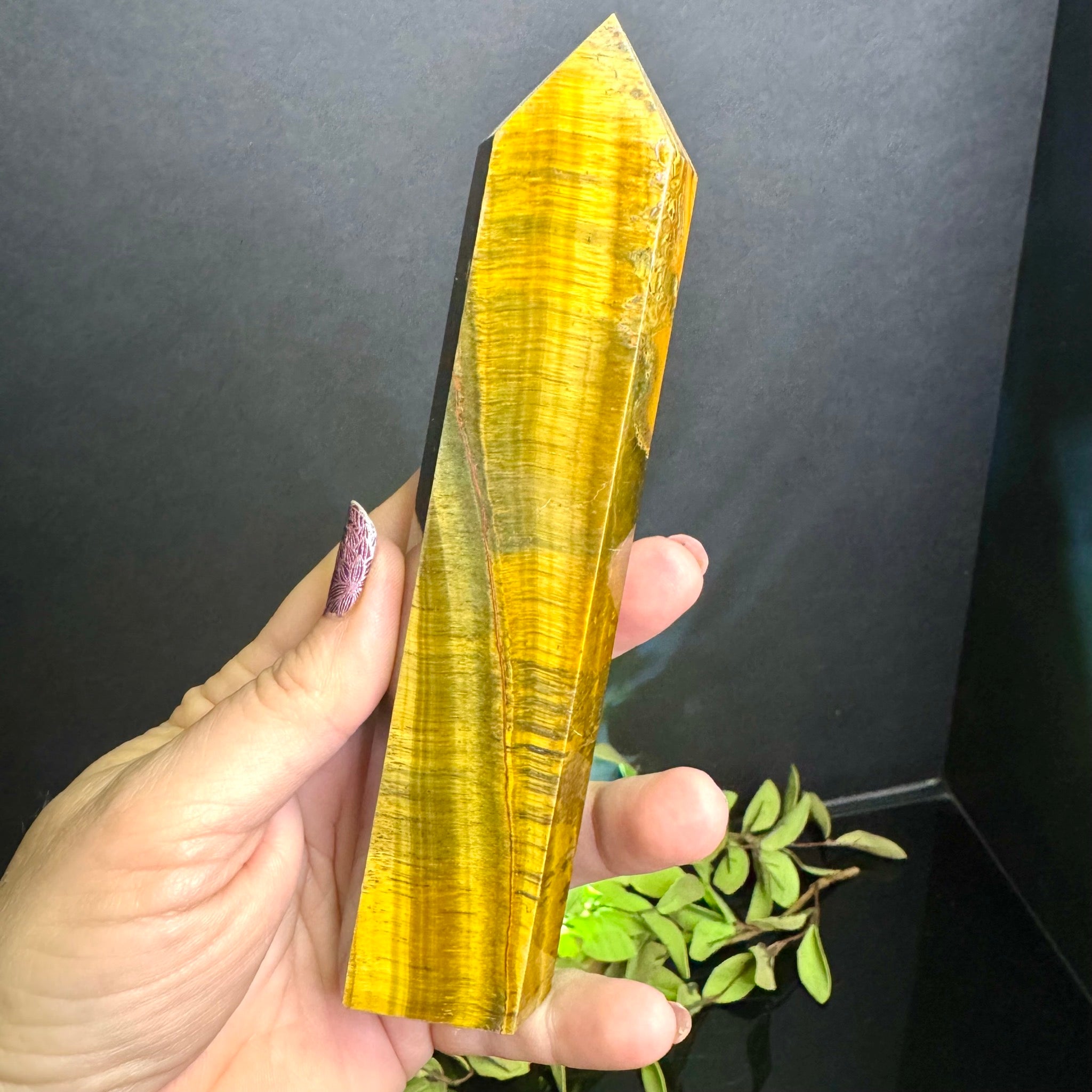 Tigers Eye Tower