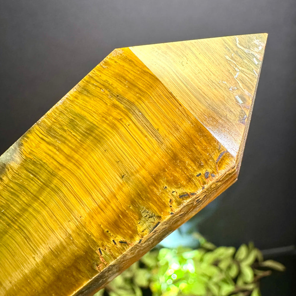 Tigers Eye Tower