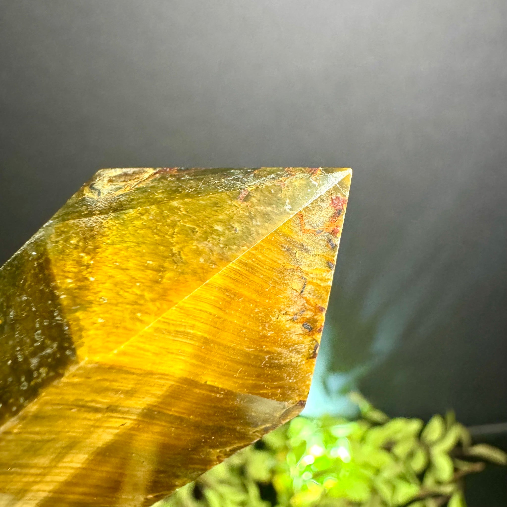 Tigers Eye Tower