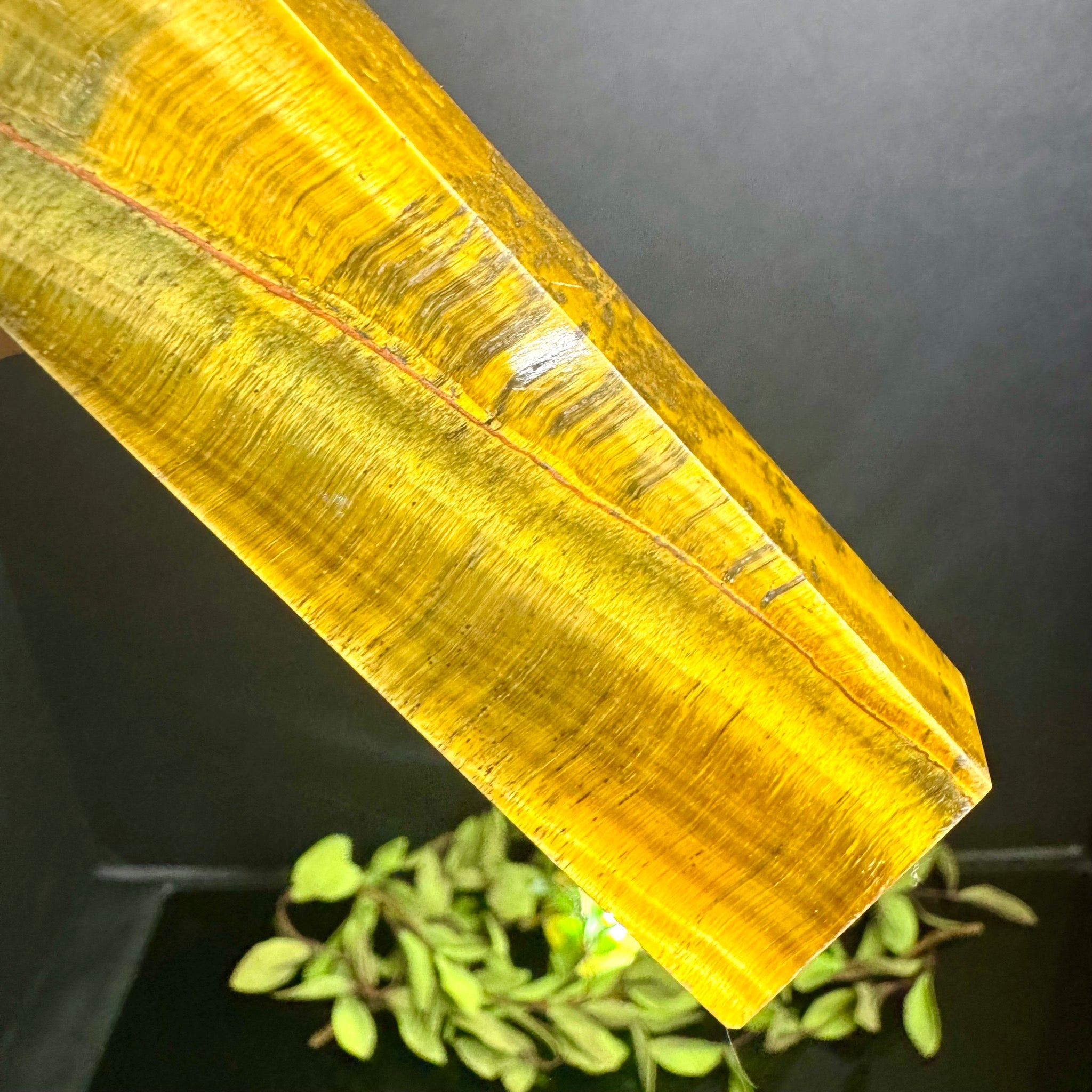 Tigers Eye Tower