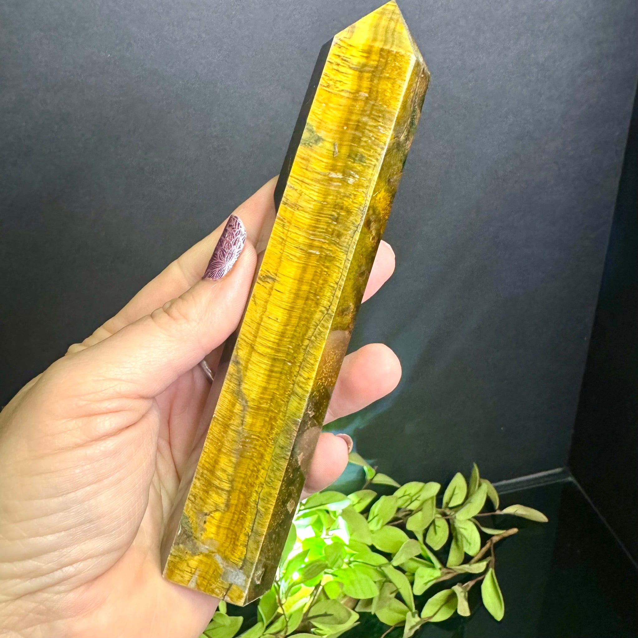 Tigers Eye Tower