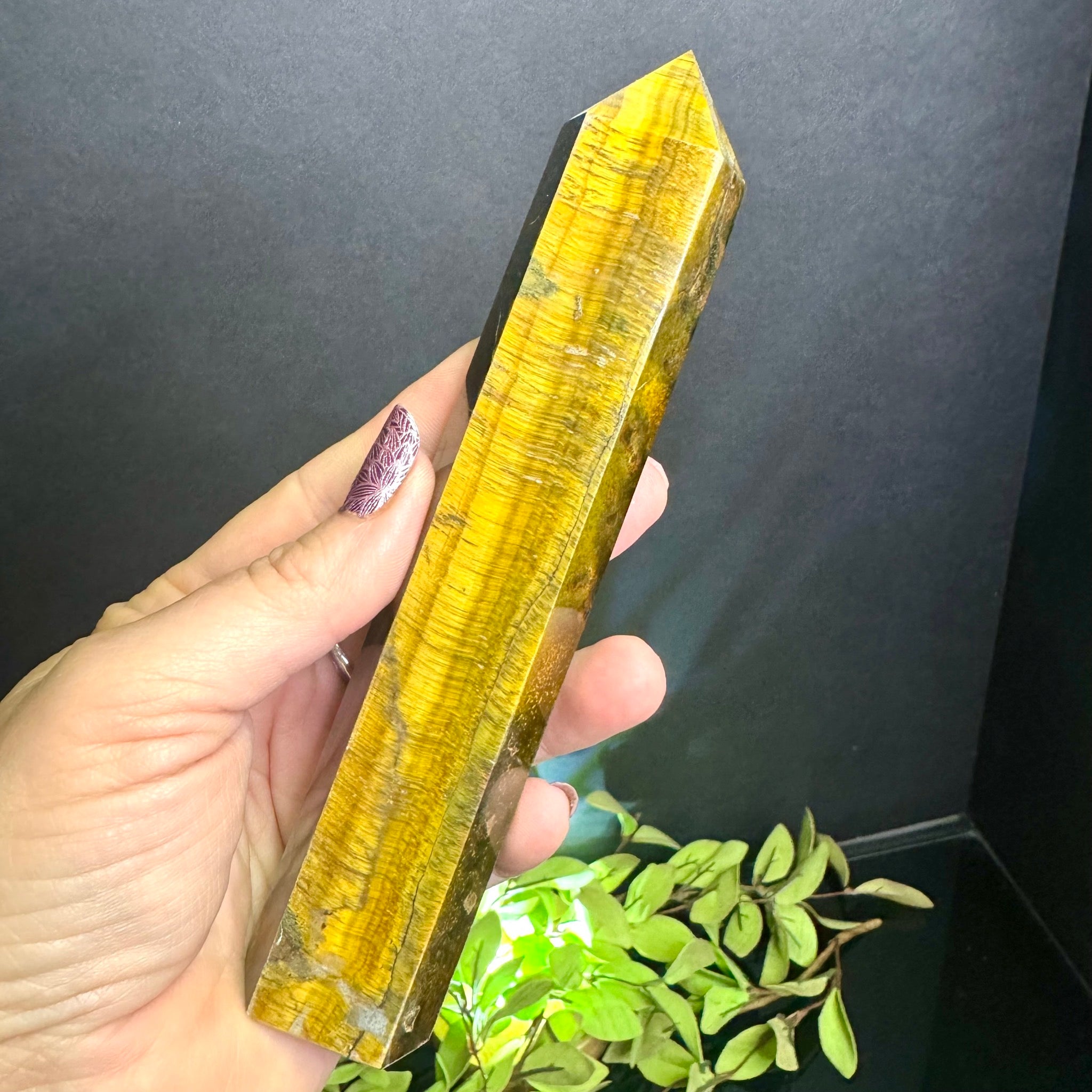 Tigers Eye Tower