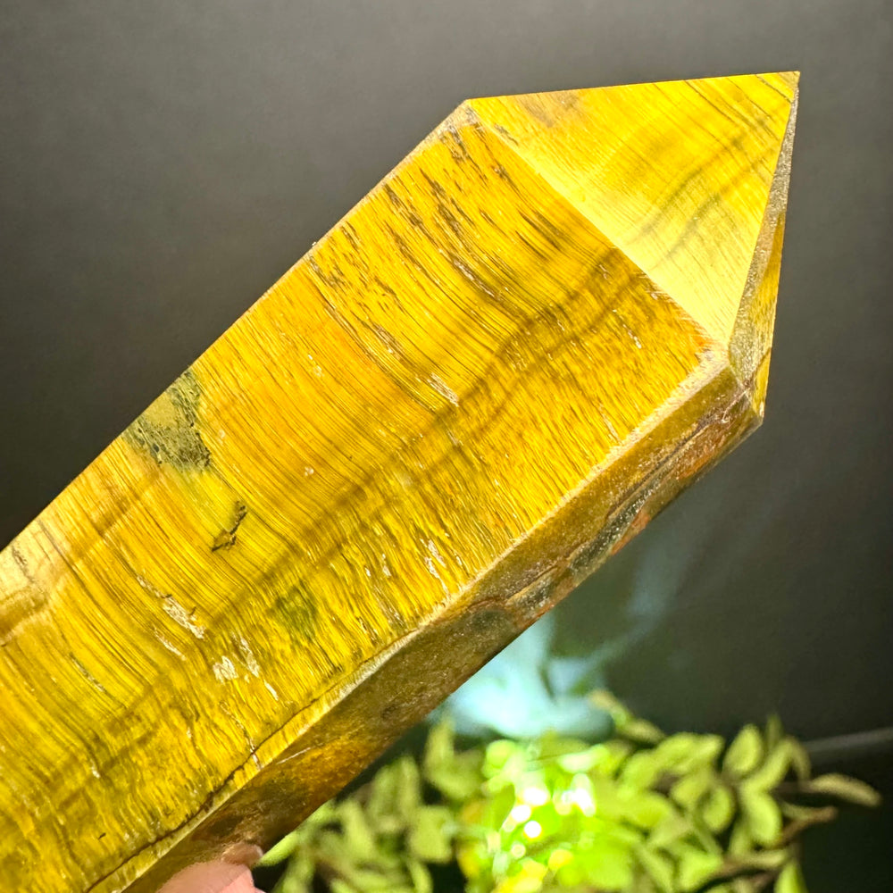 Tigers Eye Tower